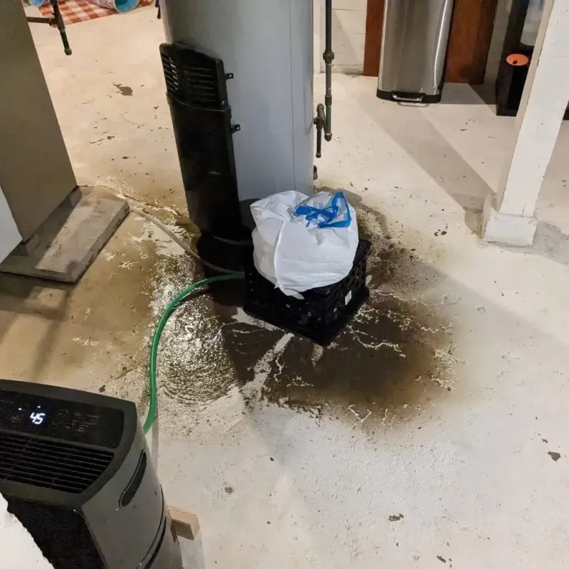 Sewage Backup Cleanup Service in Windcrest, TX